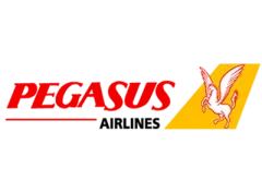 Pegasus