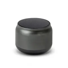 SPK-45-FM Bluetooth Speaker