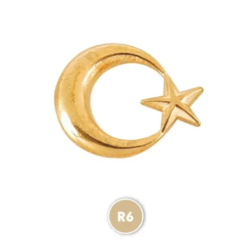 R6 Sarı Rozet – Rozetler